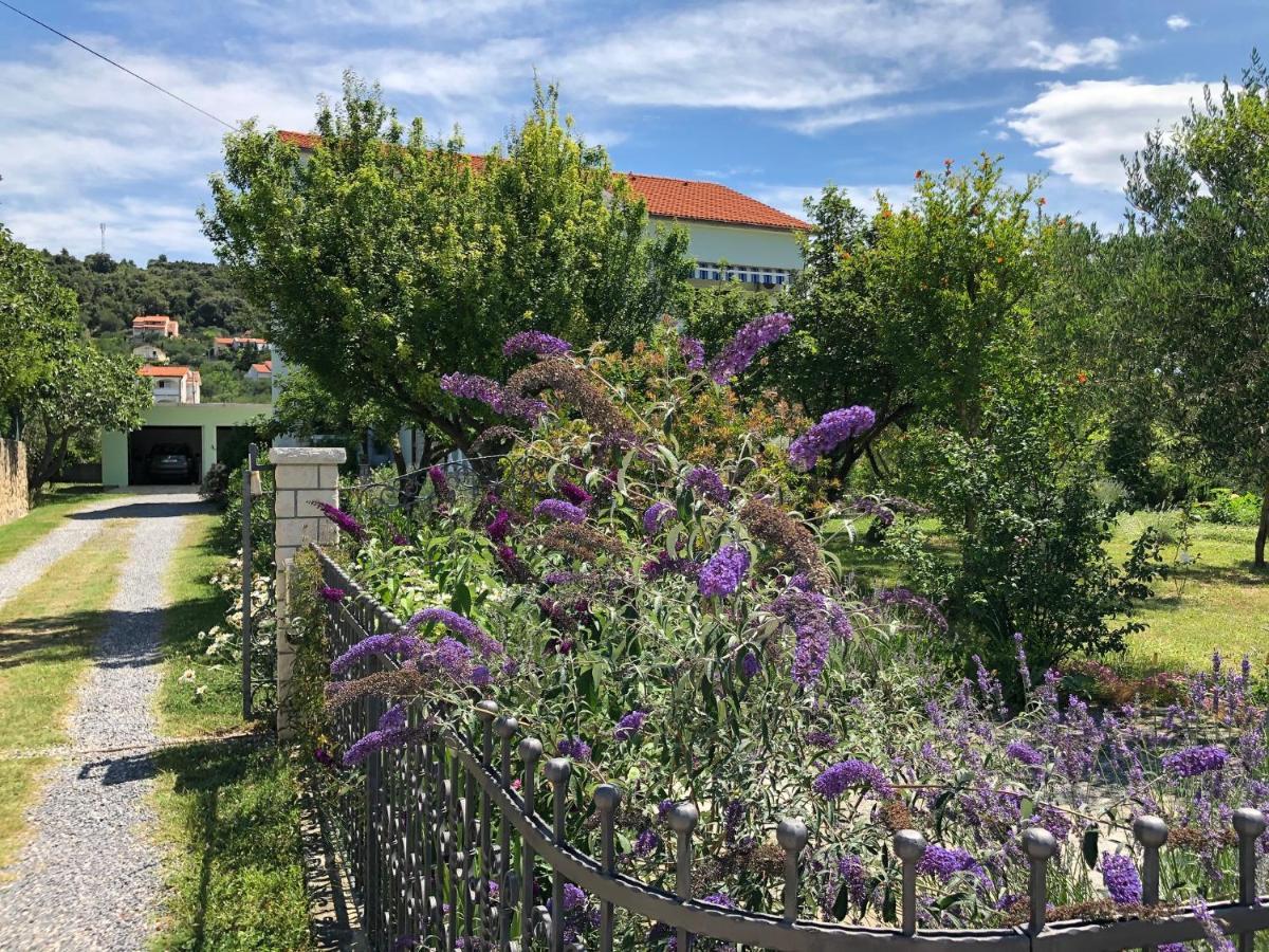 Apartments Muntidor Palit Экстерьер фото